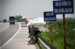 Bám quốc lộ mưu sinh - Bài cuối: Đường dẫn cầu Thanh Trì thành “chợ hoa quả”